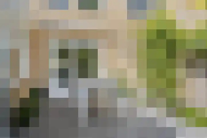 Houtduif 6 Raalte thumbnail 34
