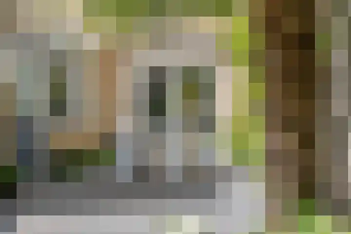Houtduif 6 Raalte thumbnail 35