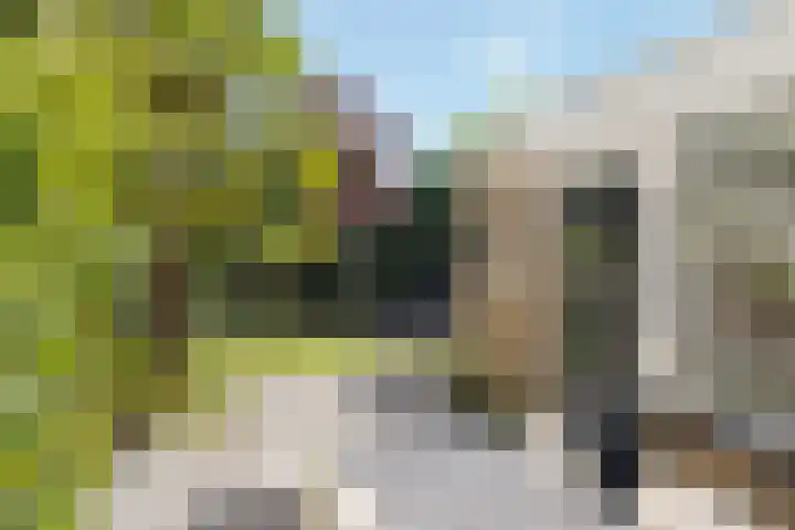 Houtduif 6 Raalte thumbnail 36