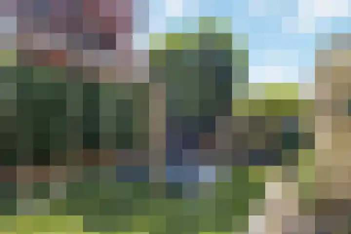 Houtduif 6 Raalte thumbnail 39