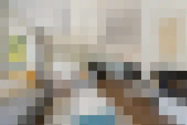 Houtduif 6 Raalte thumbnail 7