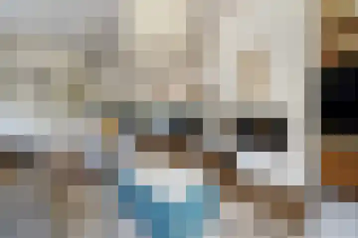 Houtduif 6 Raalte thumbnail 8