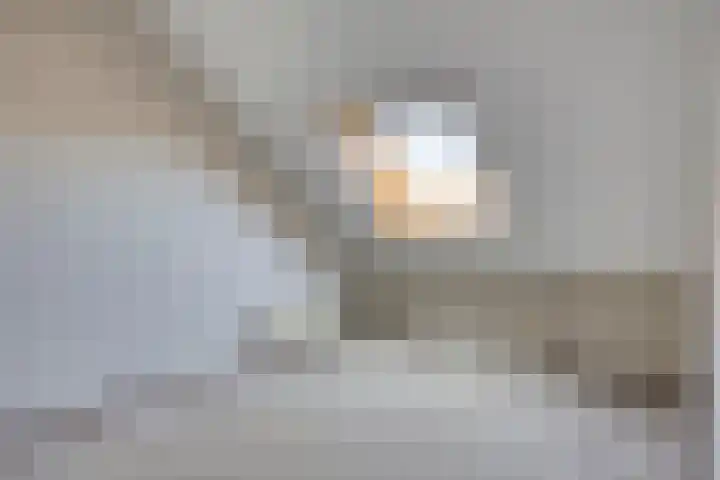 Houtduif 7 Nieuwegein thumbnail 13