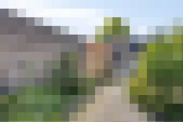Houtduif 7 Nieuwegein thumbnail 17