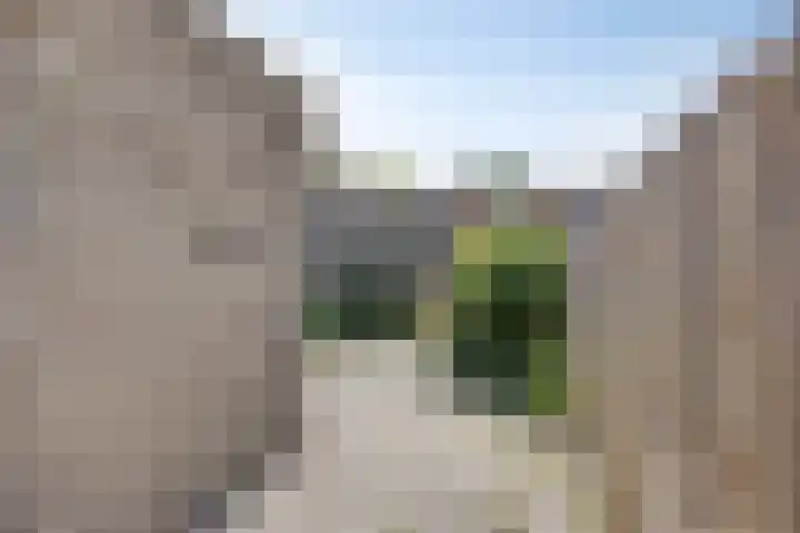 Houtduif 7 Nieuwegein thumbnail 18