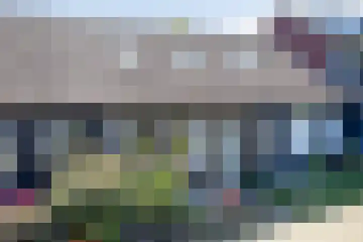 Houtduif 7 Nieuwegein thumbnail 20