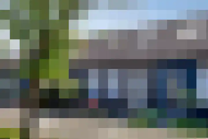 Houtduif 7 Nieuwegein thumbnail 22