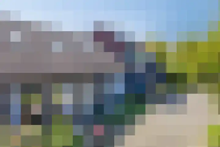 Houtduif 7 Nieuwegein thumbnail 23