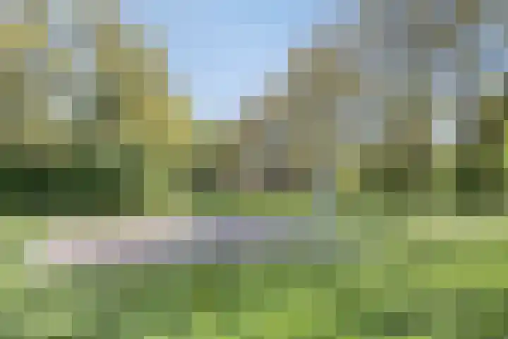 Houtduif 7 Nieuwegein thumbnail 24