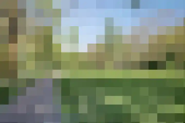 Houtduif 7 Nieuwegein thumbnail 26