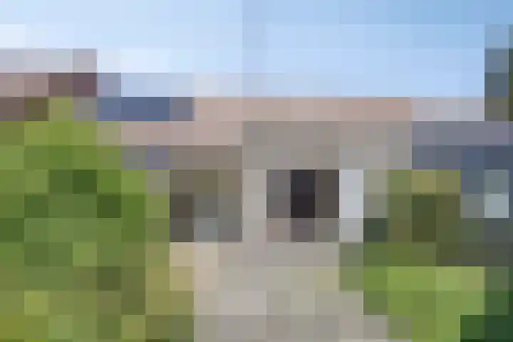 Houtduif 7 Nieuwegein thumbnail 4