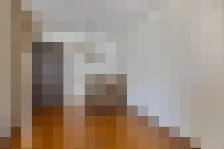 Houtduif 7 Nieuwegein thumbnail 7