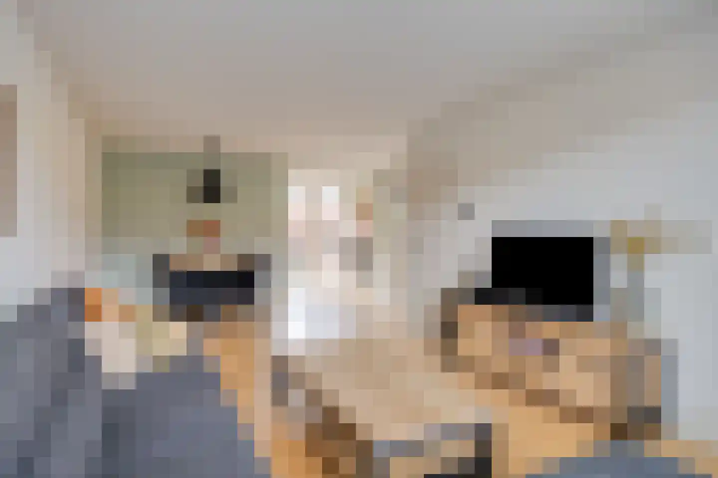 Houtduif 9 Etten-Leur thumbnail 11