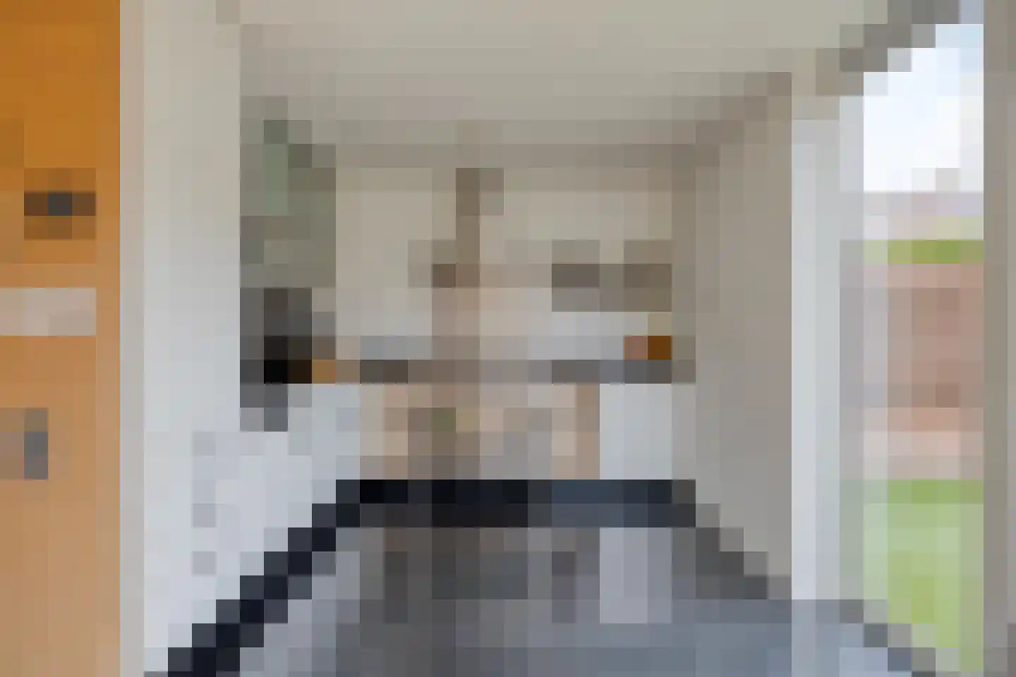 Houtduif 9 Etten-Leur thumbnail 17