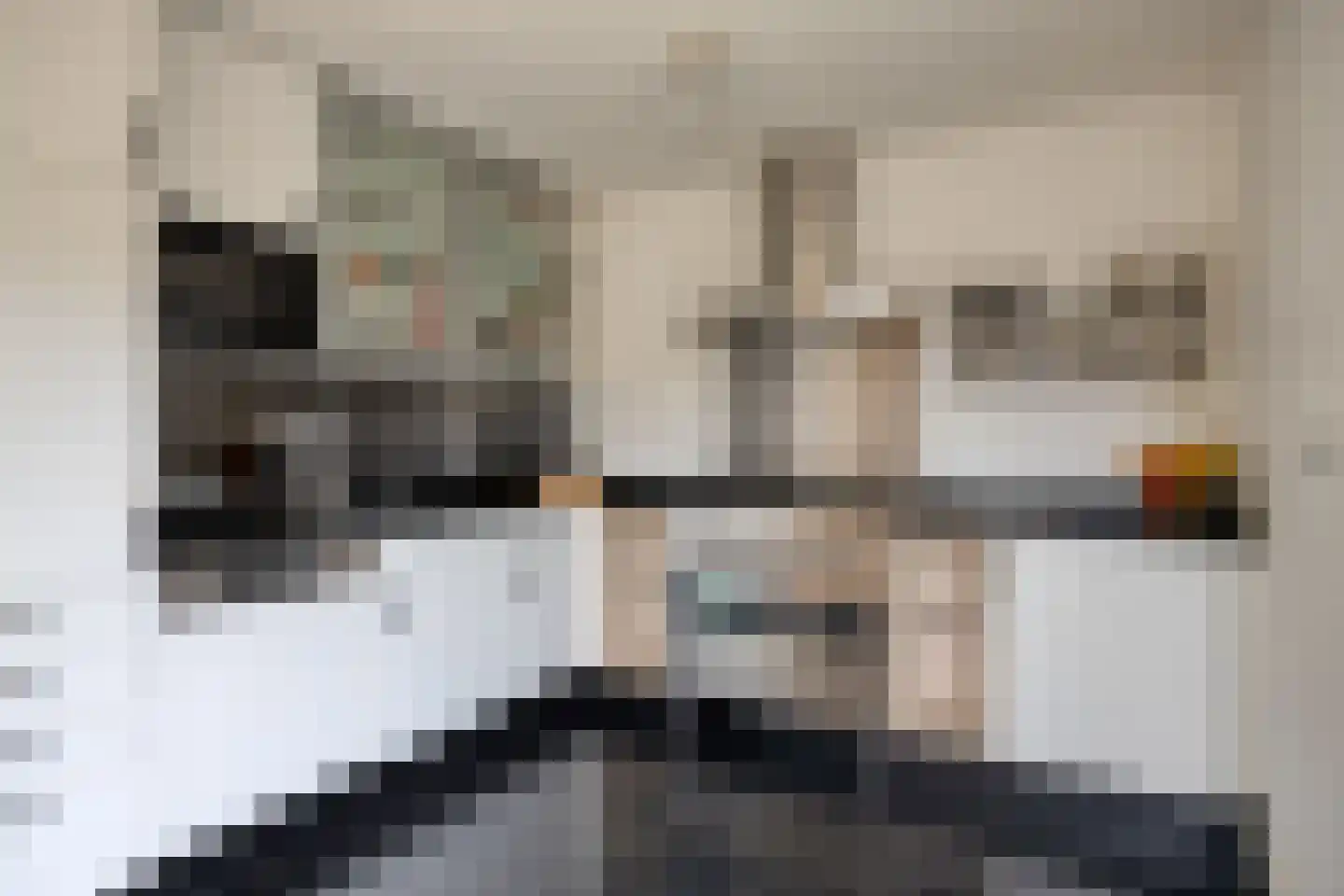 Houtduif 9 Etten-Leur thumbnail 18