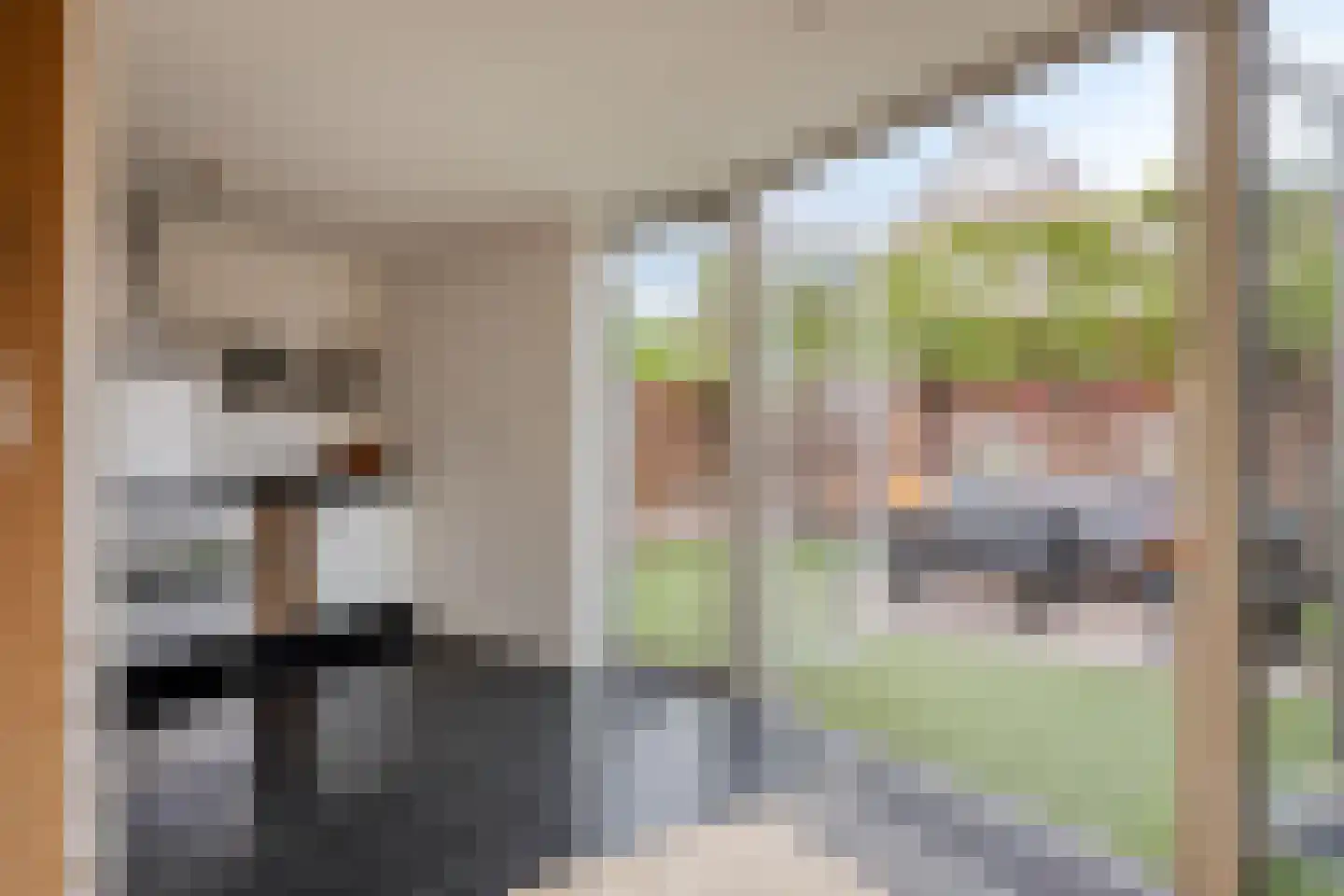 Houtduif 9 Etten-Leur thumbnail 19