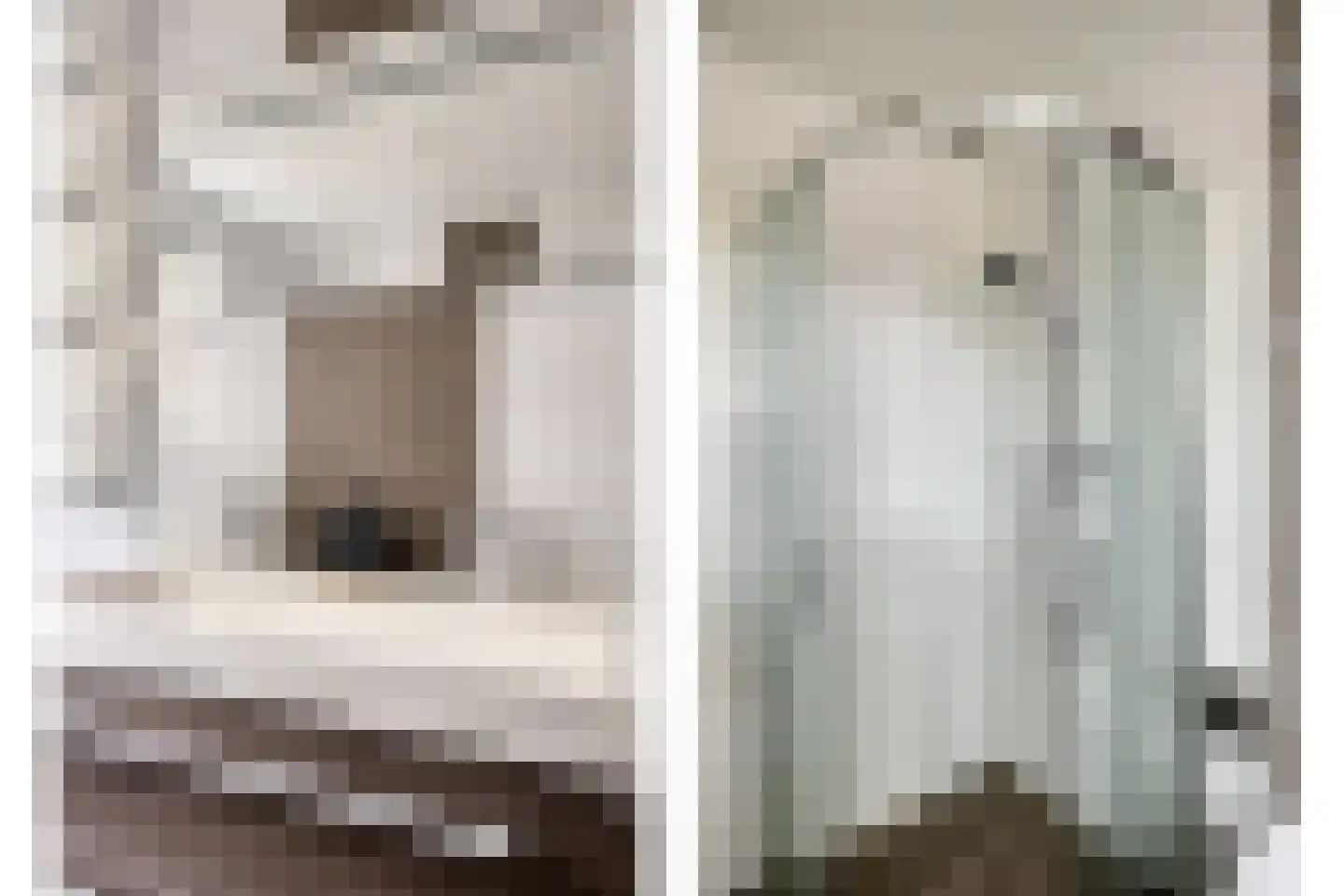 Houtduif 9 Etten-Leur thumbnail 32