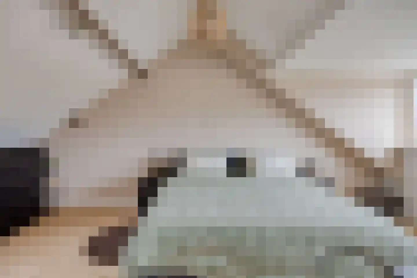Houtduif 9 Etten-Leur thumbnail 34