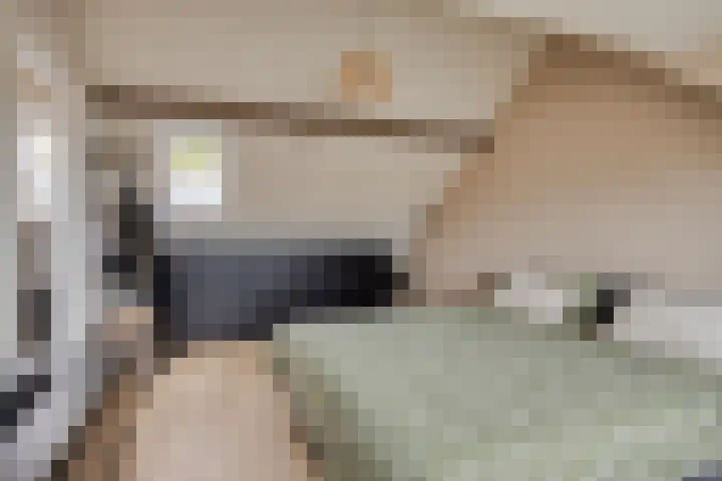 Houtduif 9 Etten-Leur thumbnail 36