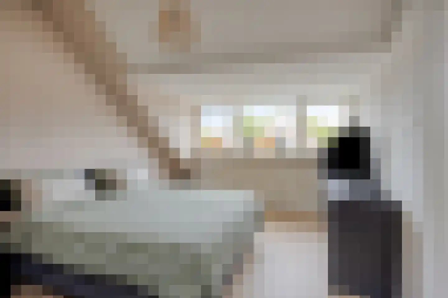 Houtduif 9 Etten-Leur thumbnail 4