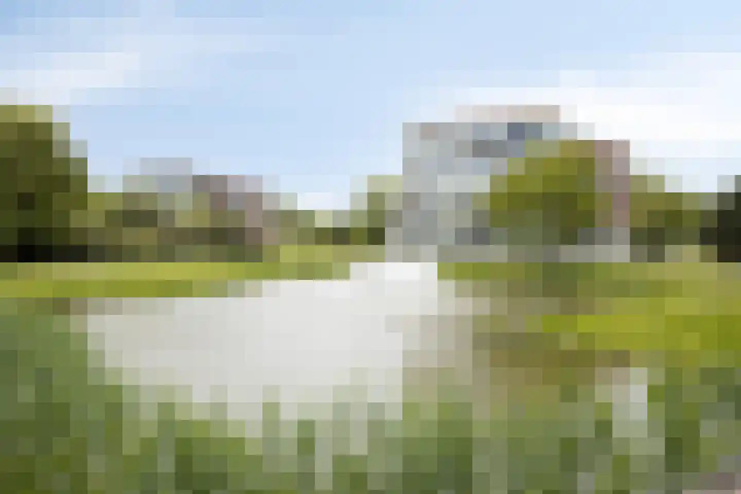 Houtduif 9 Etten-Leur thumbnail 41
