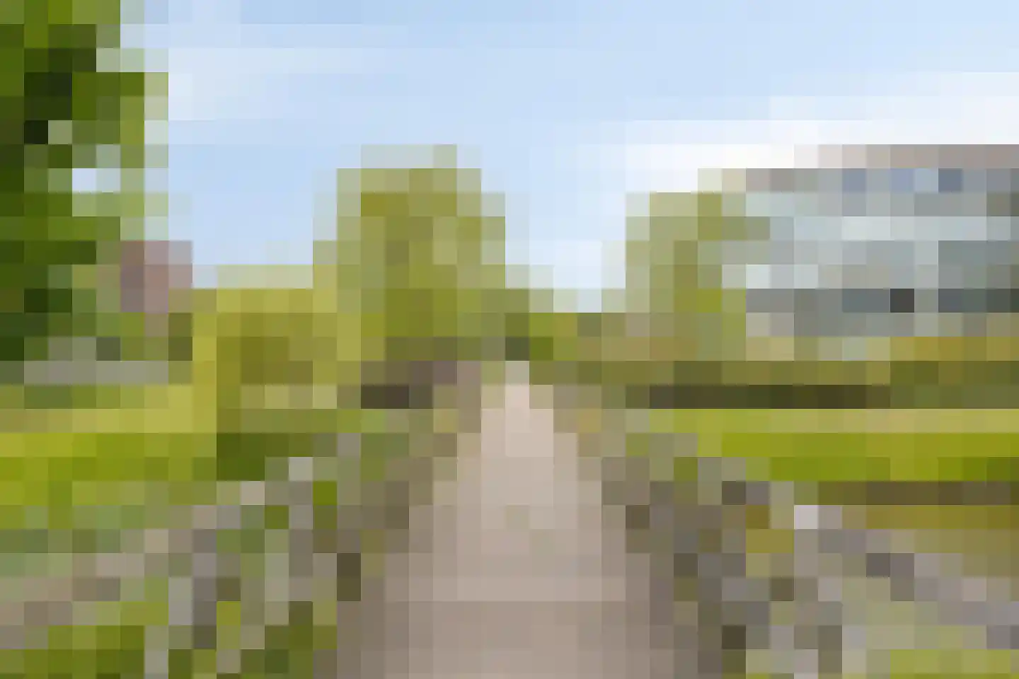 Houtduif 9 Etten-Leur thumbnail 42