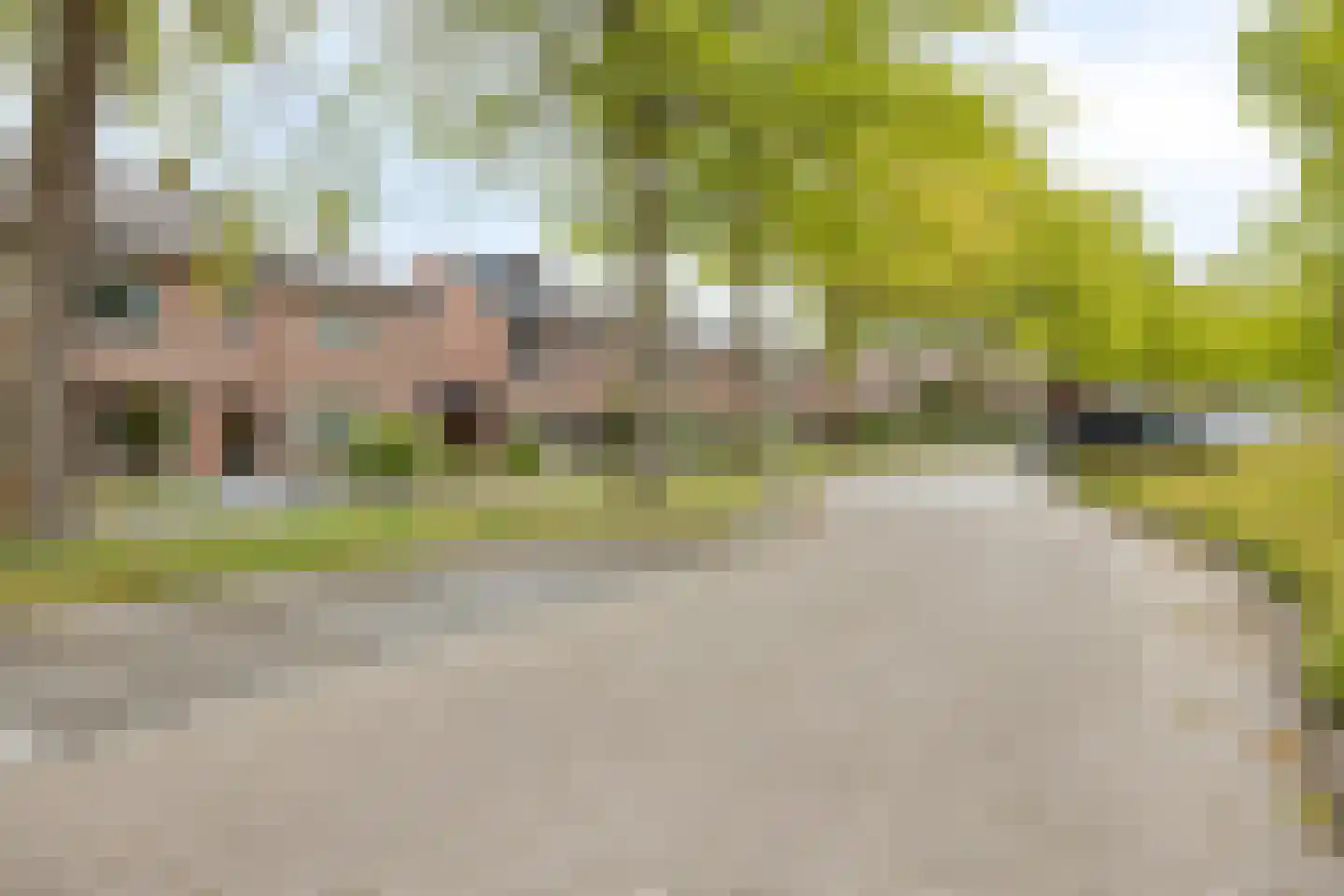Houtduif 9 Etten-Leur thumbnail 6