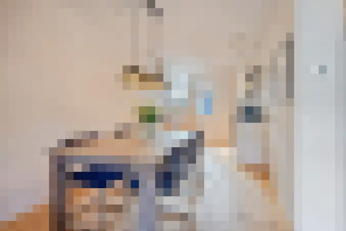Houtduif 9 Nieuwegein thumbnail 10