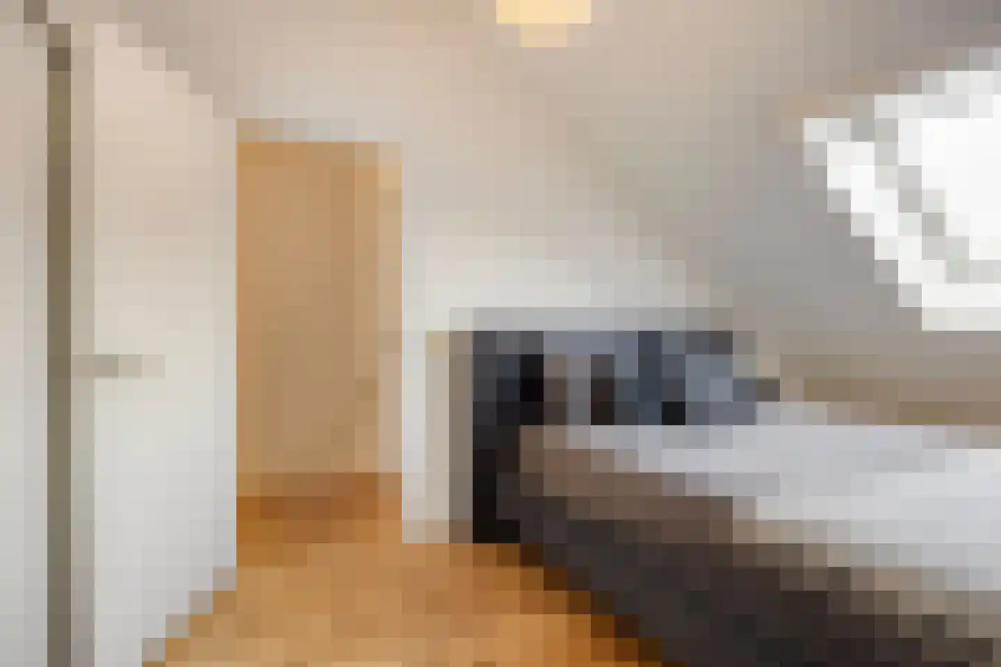 Houtduif 9 Nieuwegein thumbnail 21