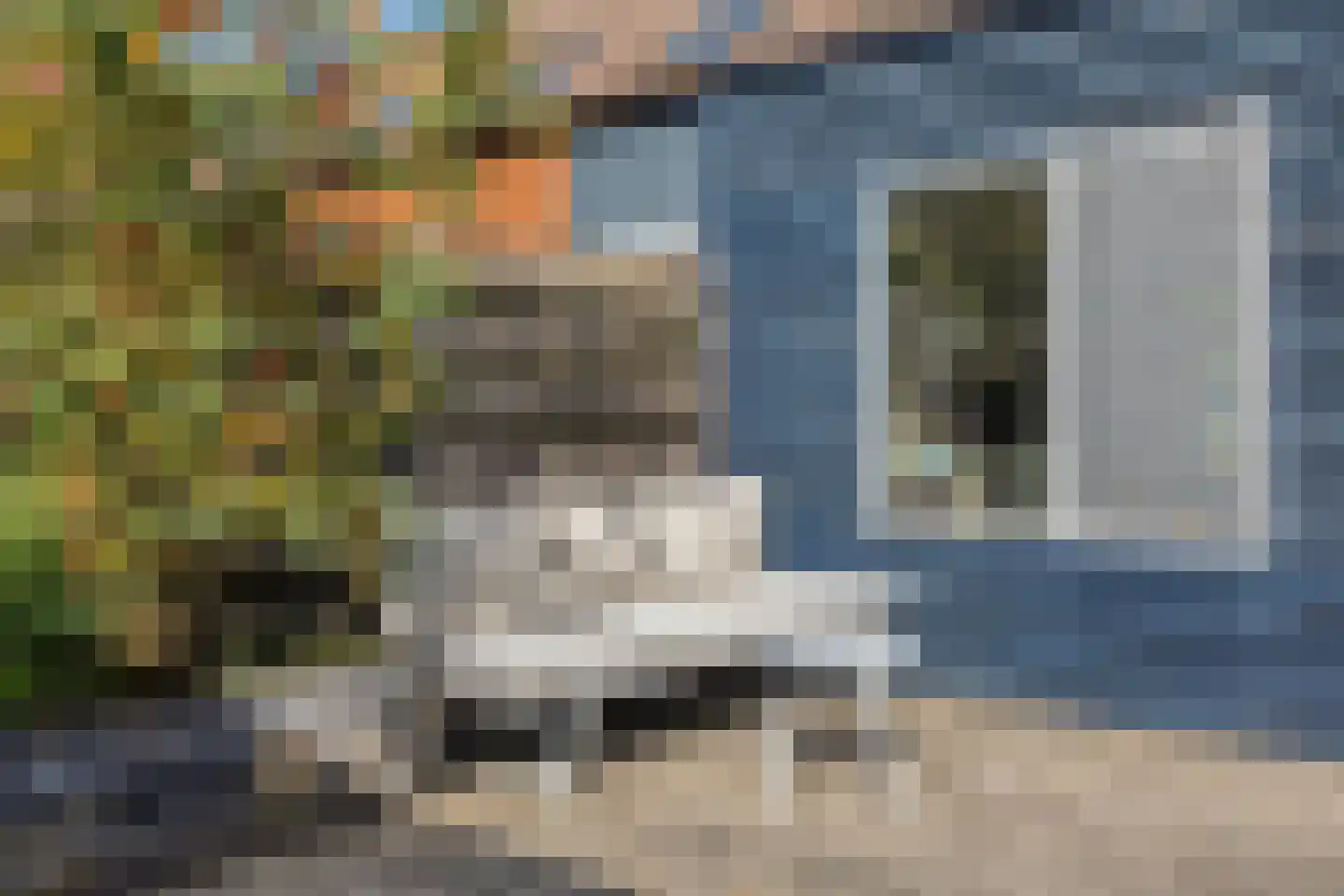 Houtduif 9 Nieuwegein thumbnail 25