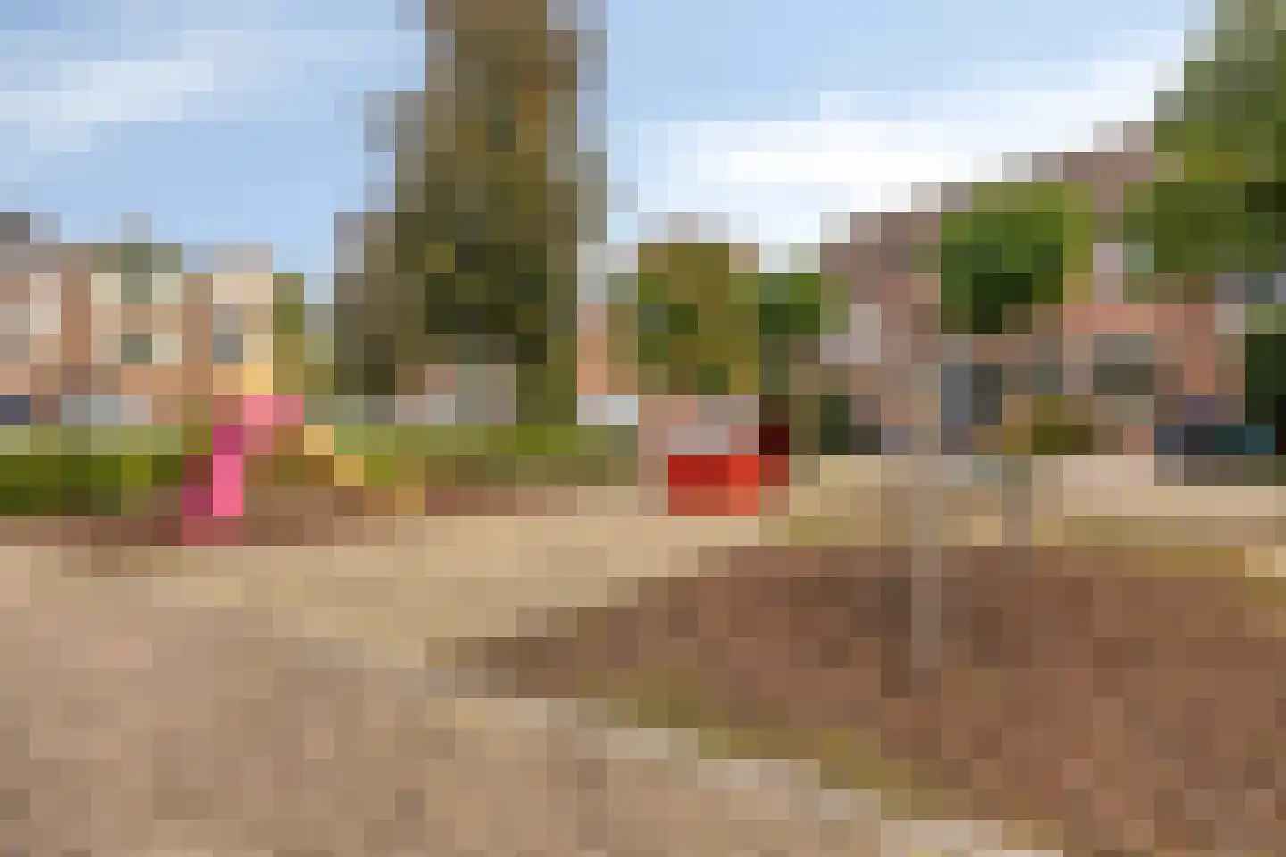 Houtduif 9 Nieuwegein thumbnail 30
