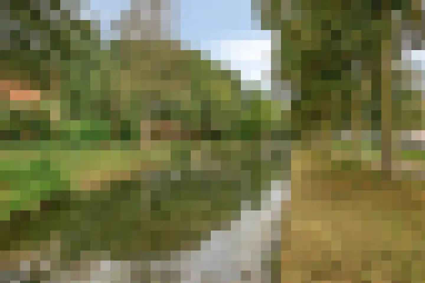 Houtduif 9 Nieuwegein thumbnail 31