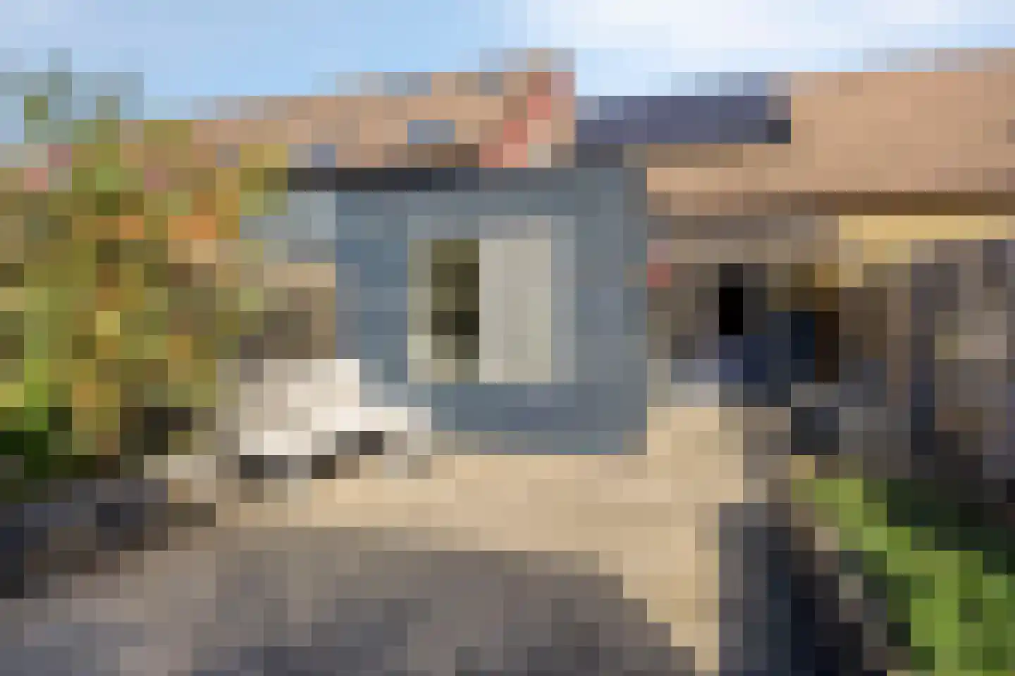 Houtduif 9 Nieuwegein thumbnail 5