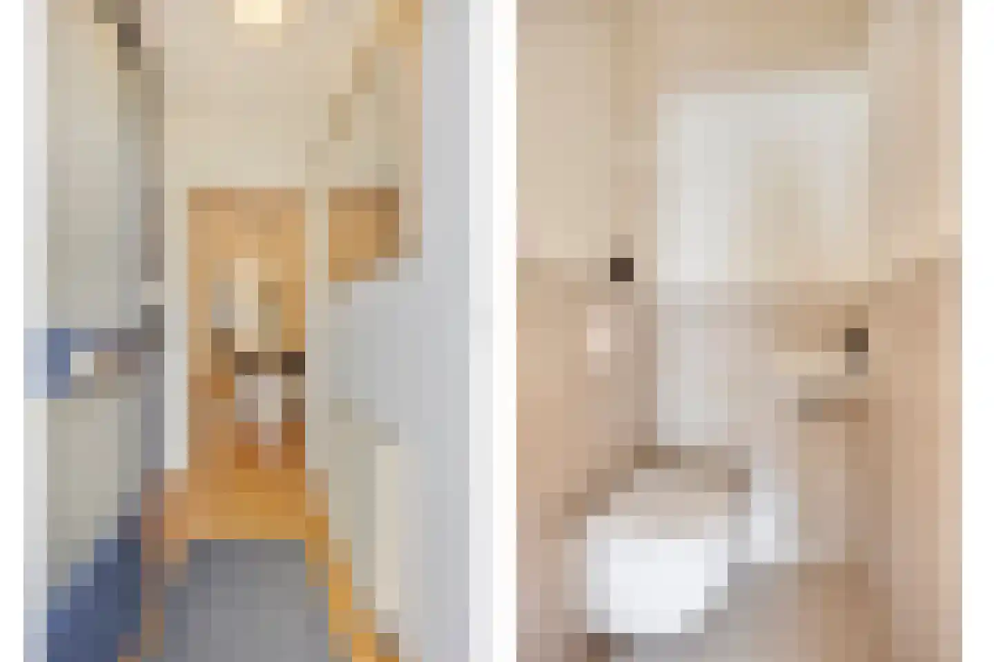 Houtduif 9 Nieuwegein thumbnail 6