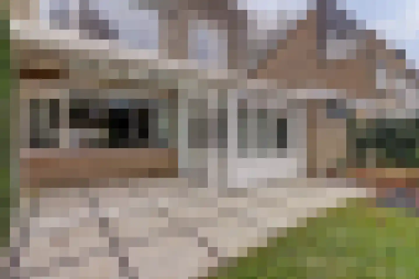 Houtduiflaan 12 Beuningen Gld thumbnail 40