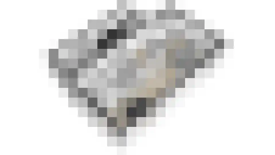 Houtduiflaan 28 e Beuningen Gld thumbnail 63