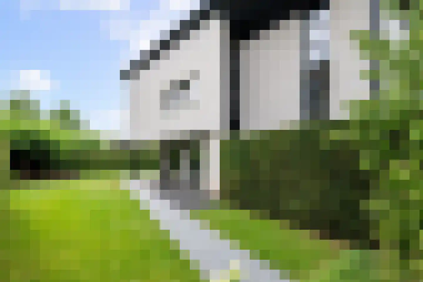 Houtduiflaan 9 Brunssum thumbnail 36