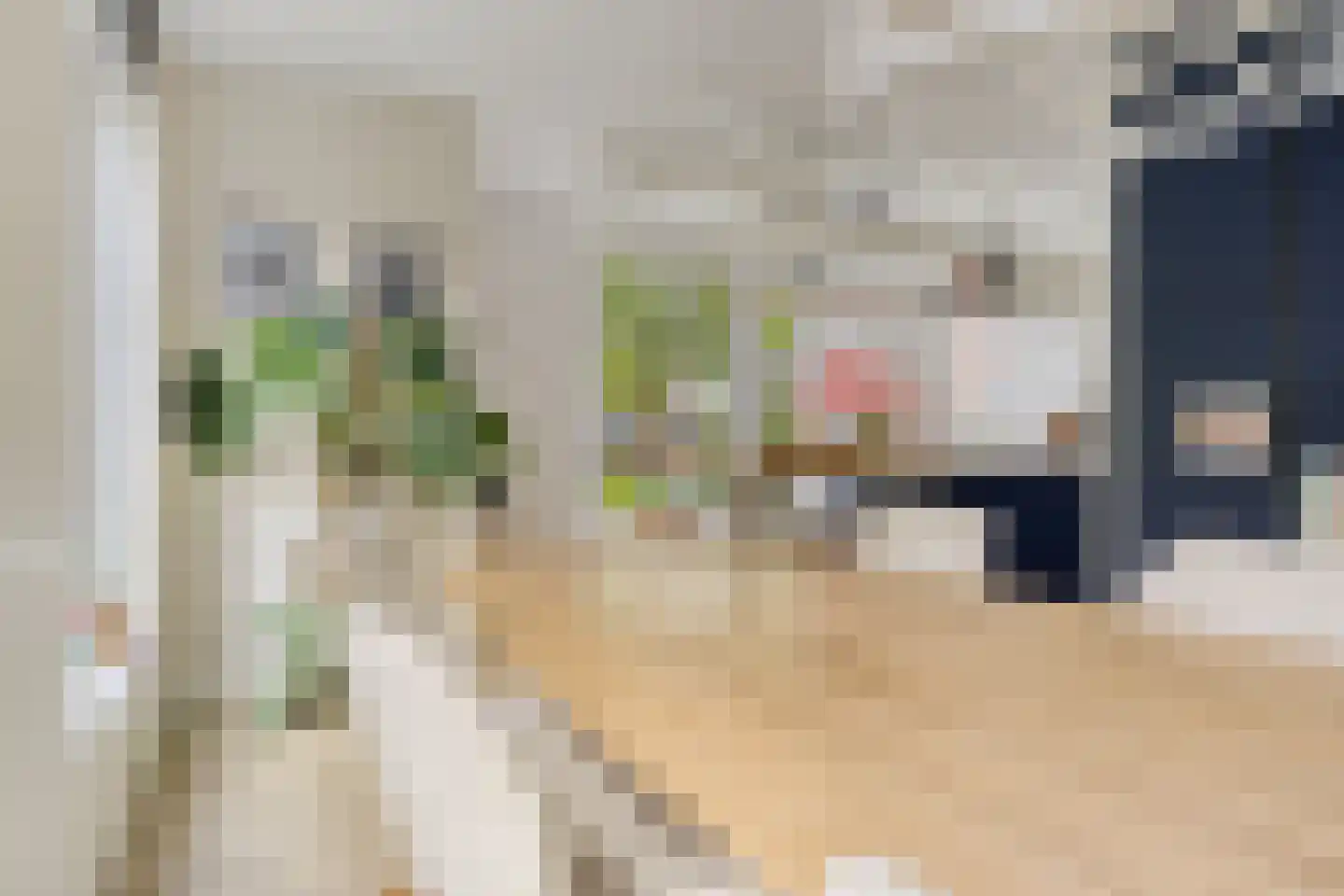 Houtduiflande 10 Pijnacker thumbnail 10