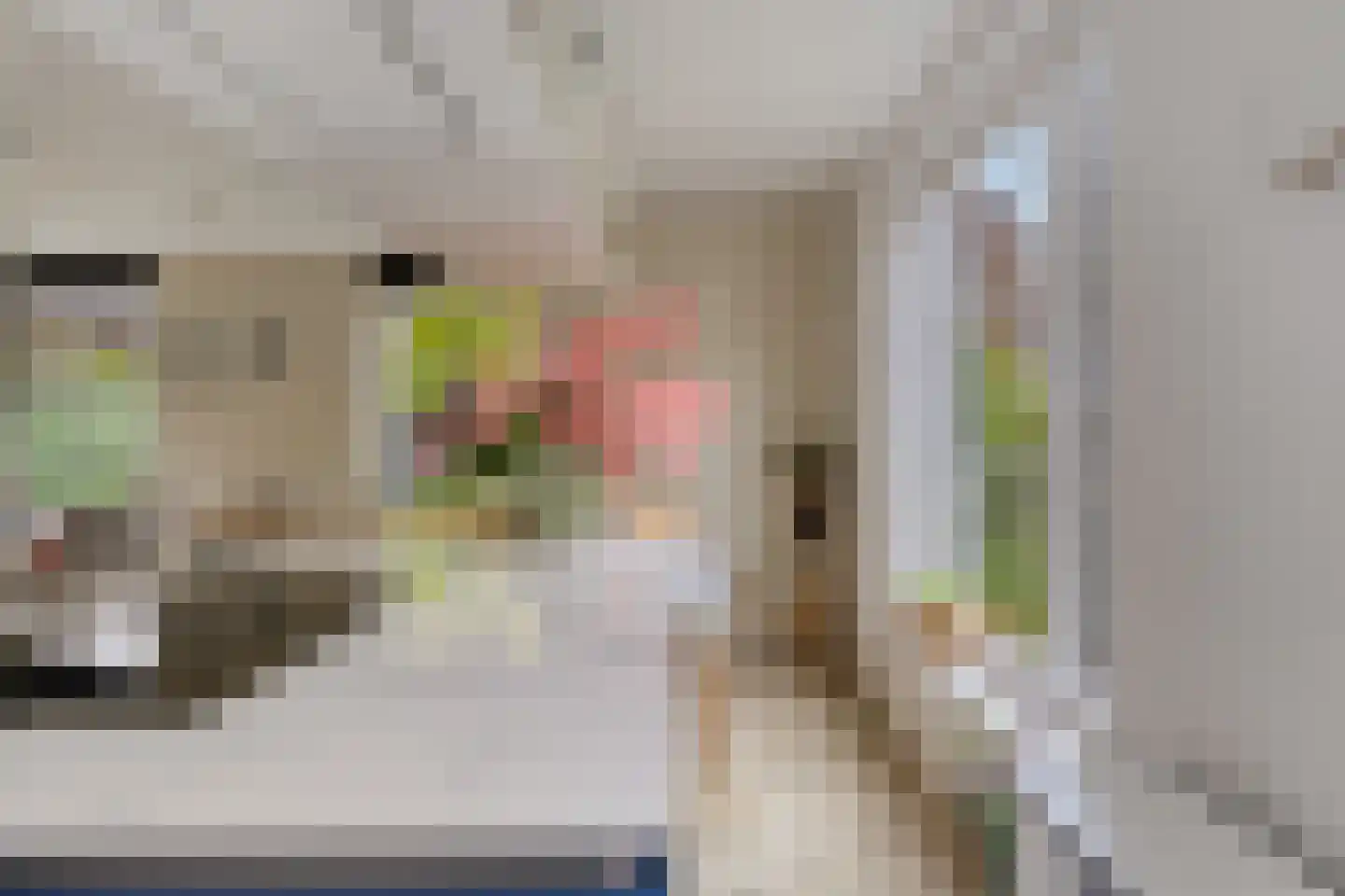 Houtduiflande 10 Pijnacker thumbnail 14