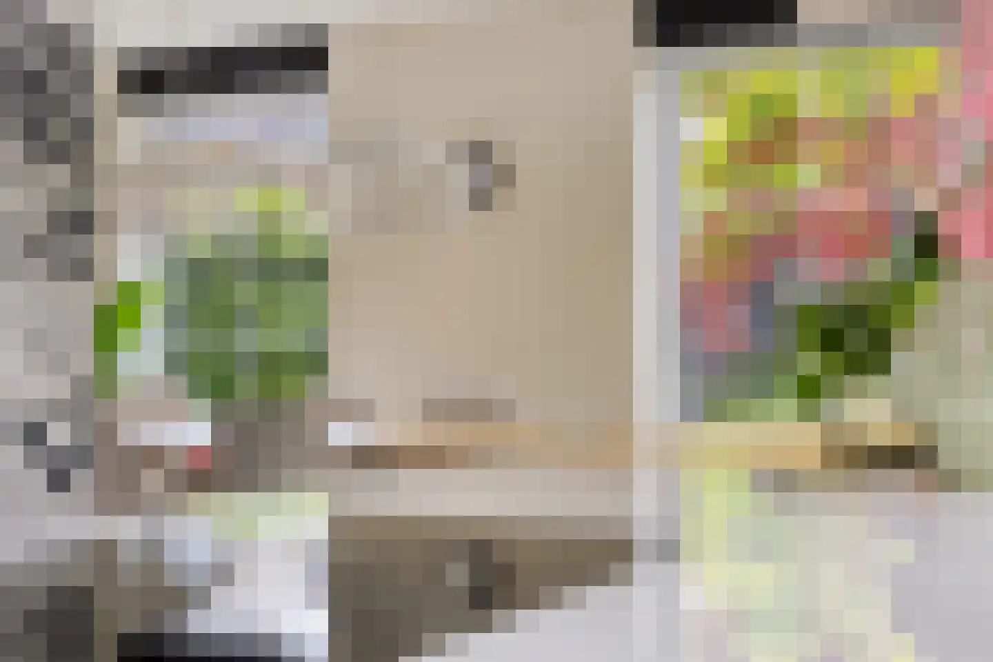Houtduiflande 10 Pijnacker thumbnail 17
