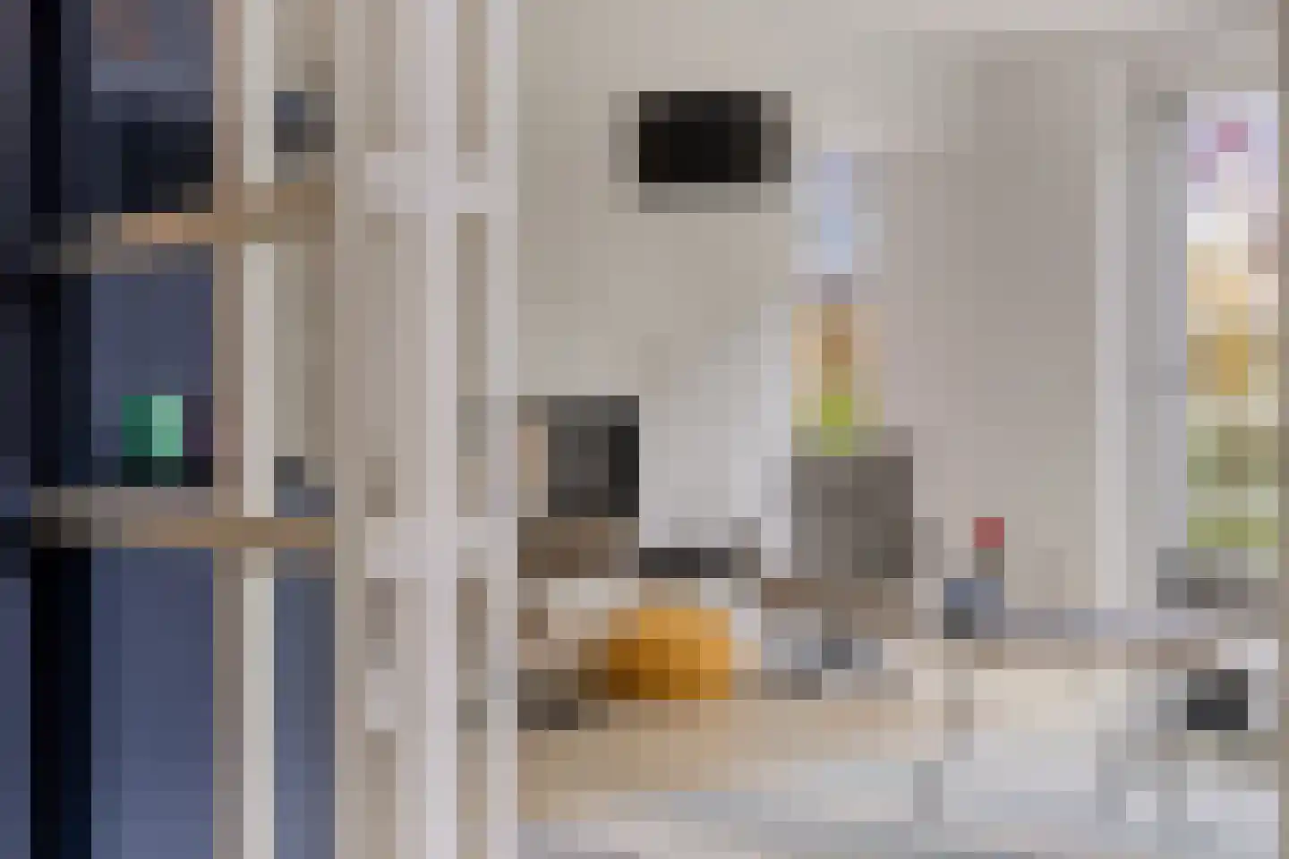 Houtduiflande 10 Pijnacker thumbnail 19