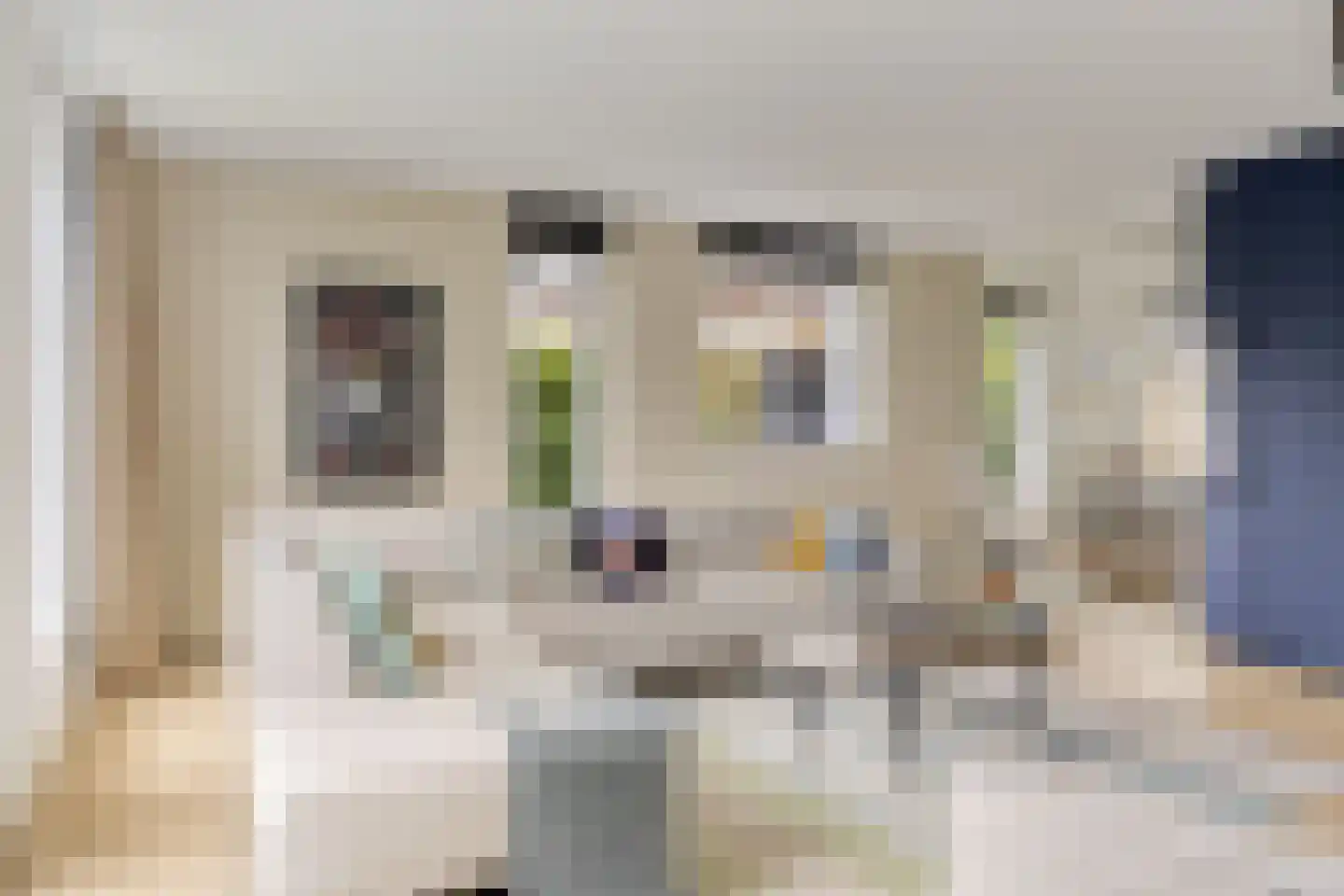Houtduiflande 10 Pijnacker thumbnail 24