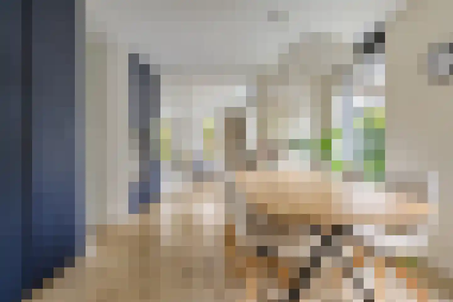 Houtduiflande 10 Pijnacker thumbnail 30