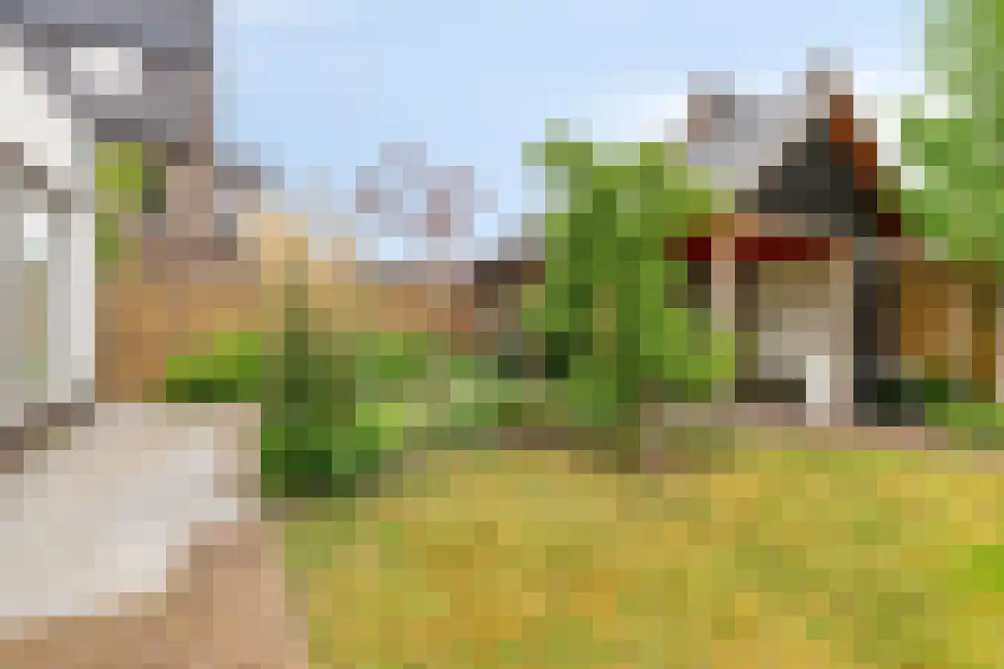 Houtduiflande 10 Pijnacker thumbnail 49