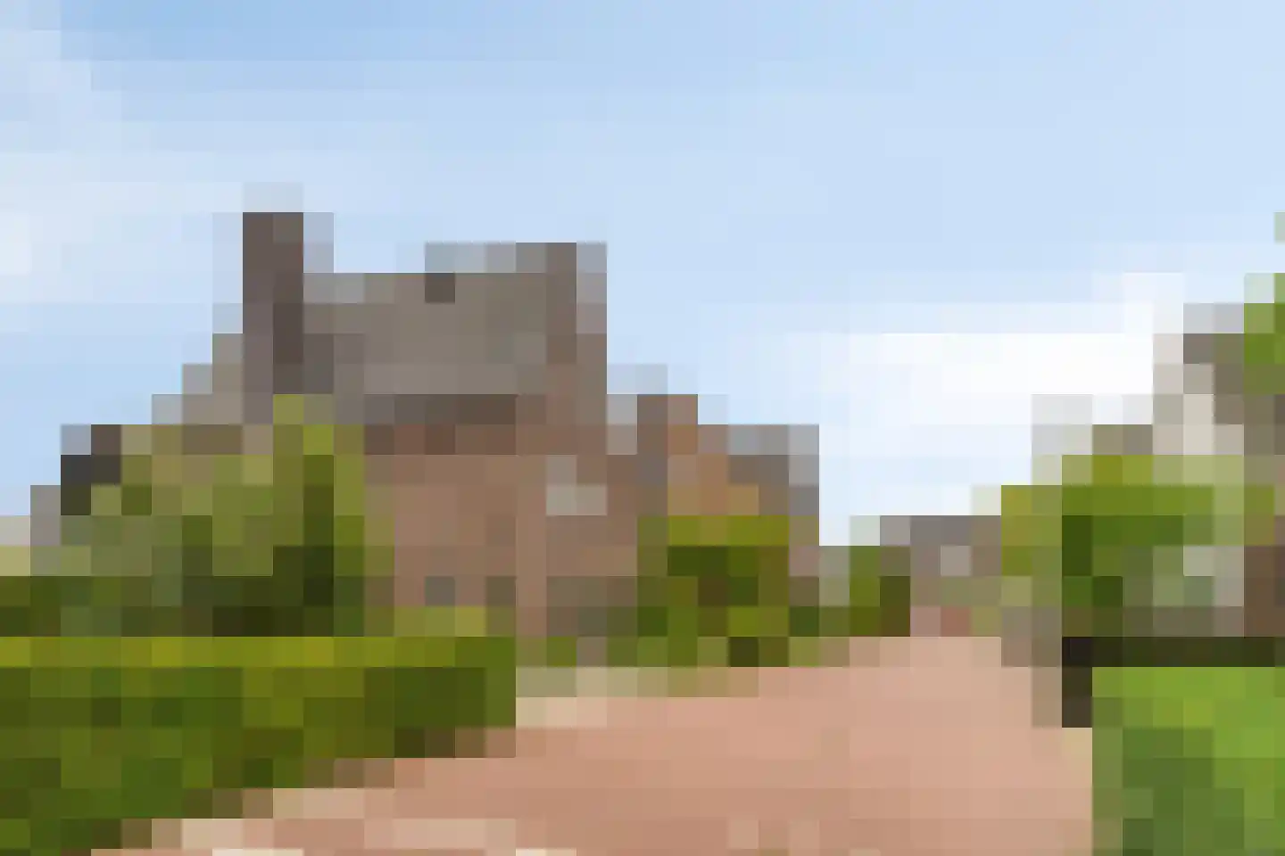 Houtduiflande 10 Pijnacker thumbnail 5