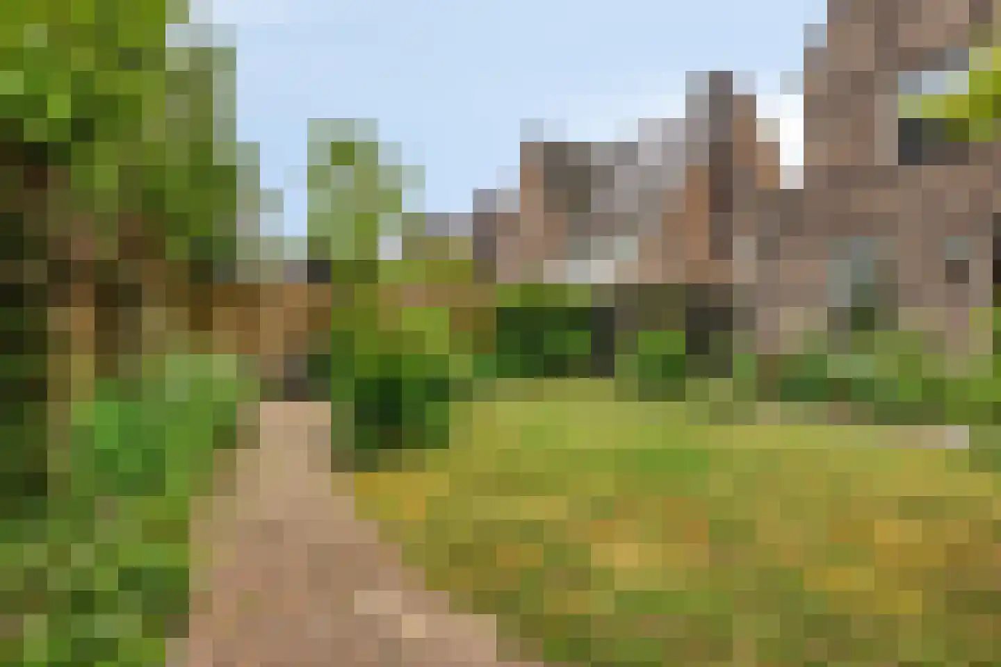 Houtduiflande 10 Pijnacker thumbnail 50