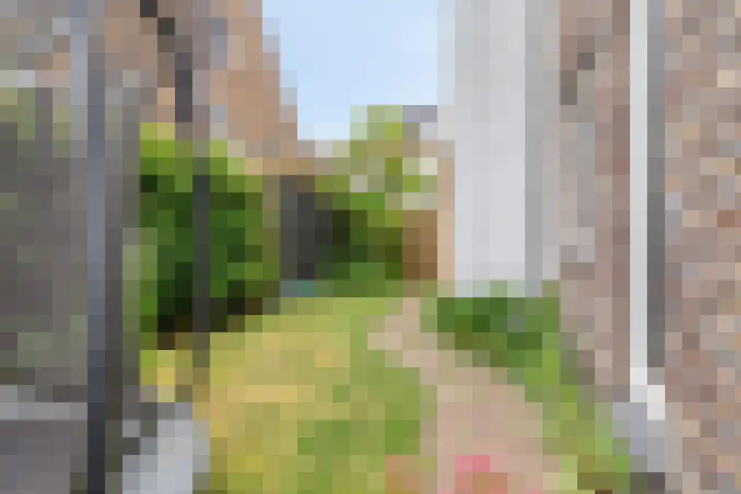 Houtduiflande 10 Pijnacker thumbnail 51