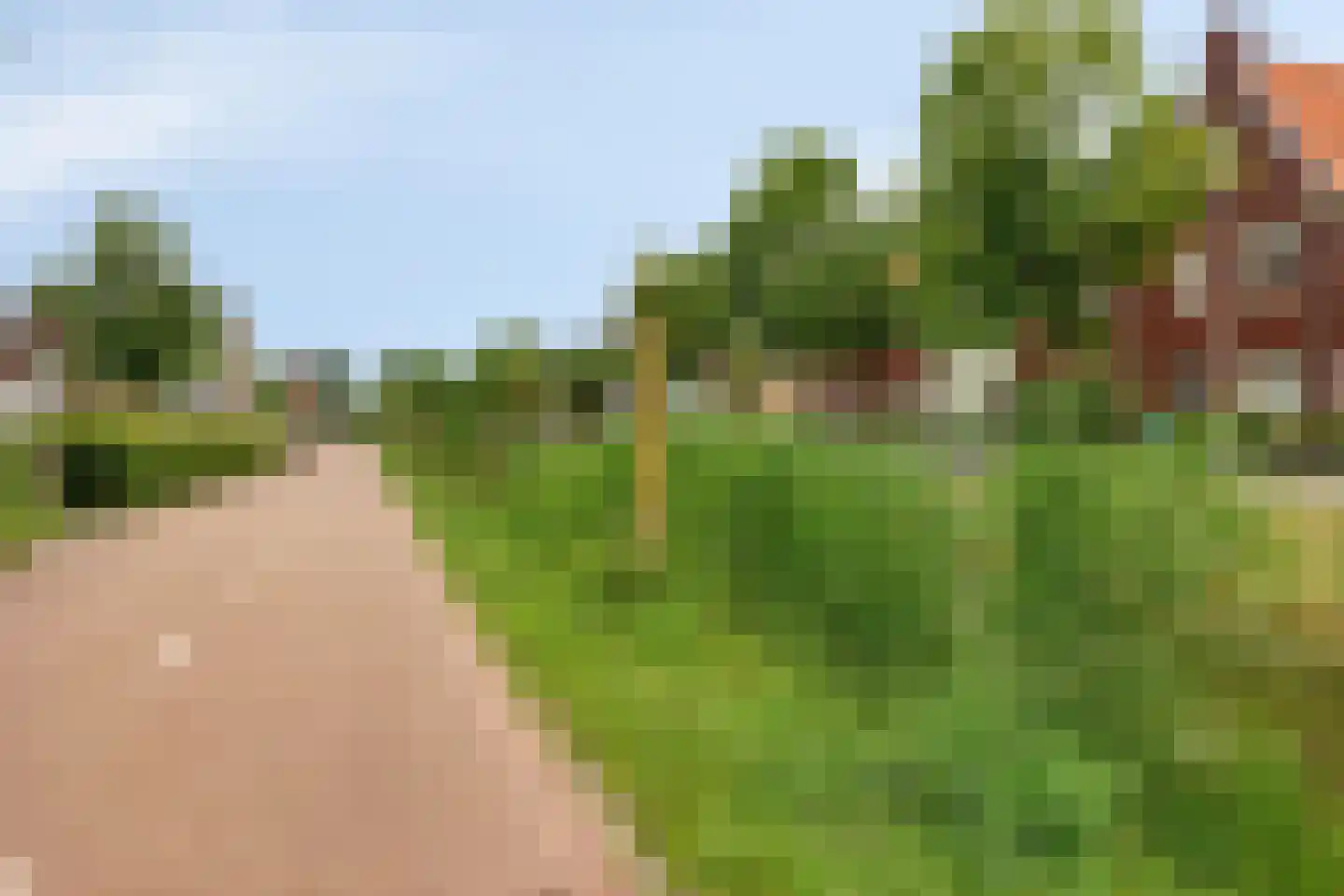 Houtduiflande 10 Pijnacker thumbnail 55