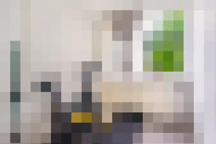 Houtduifstraat 11 Veendam thumbnail 32
