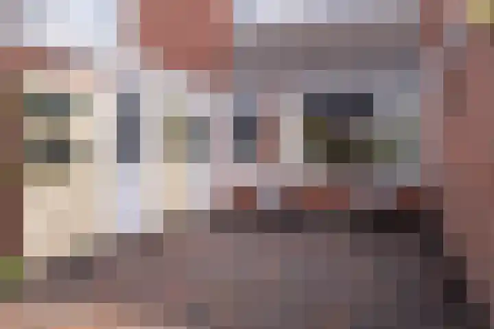 Houtduifstraat 11 Veendam thumbnail 41